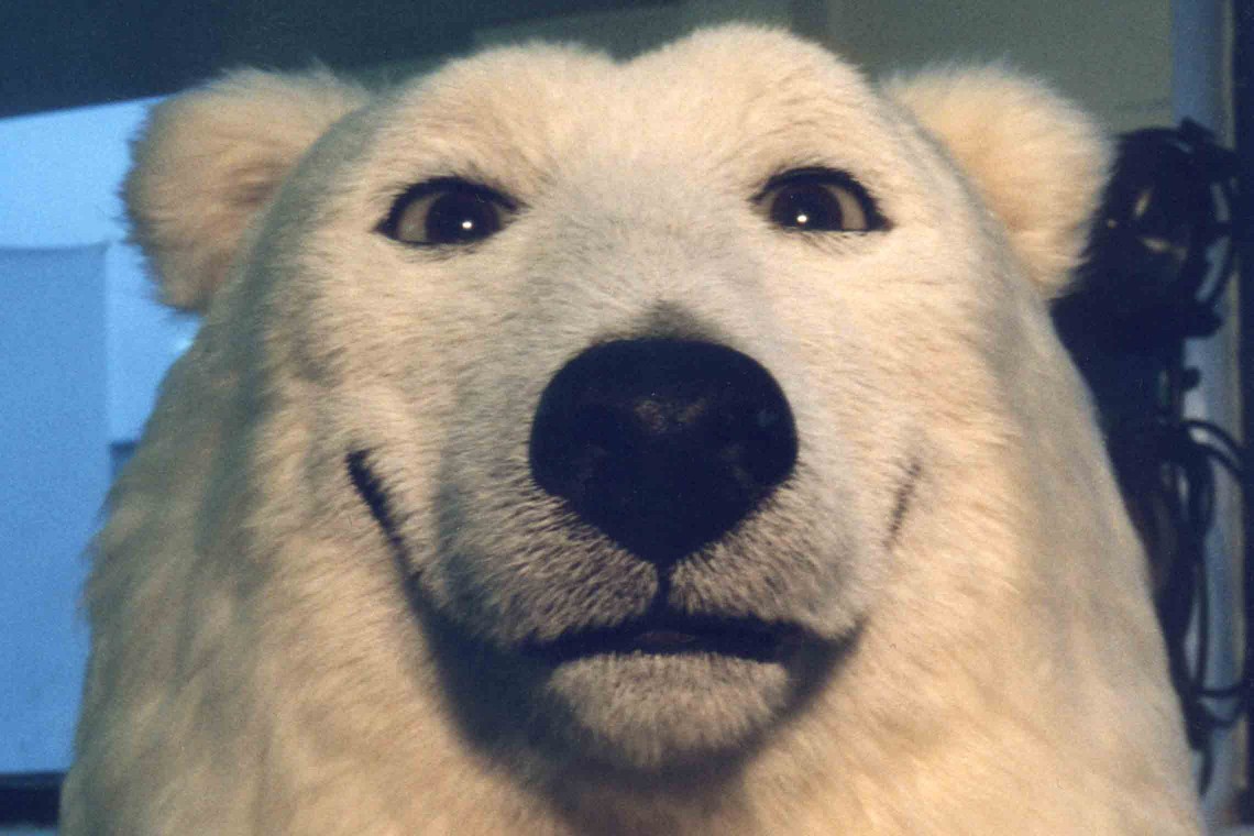 wall-polar-bear-face-asylum-models-effects-ltd