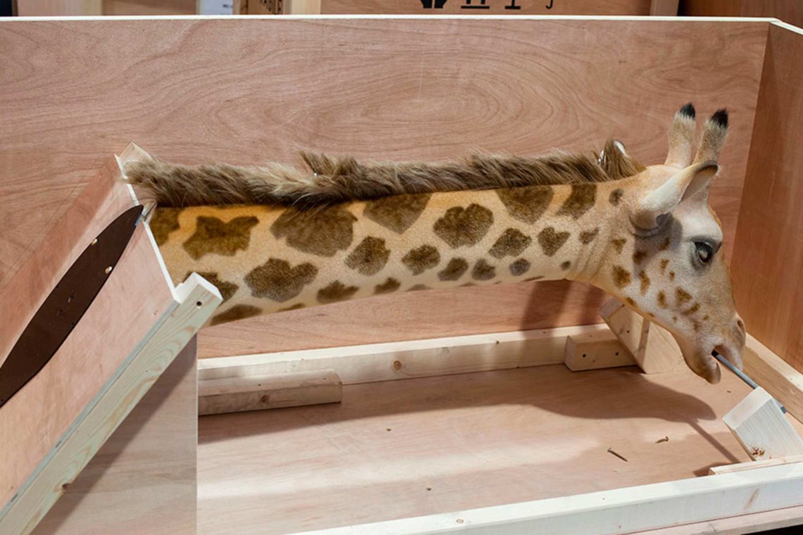 Louis Vuitton scarf giraffe Nearly unused home storage items